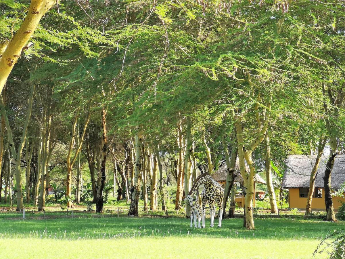 Africa Safari Camping Mto Wa Mbu Bagian luar foto